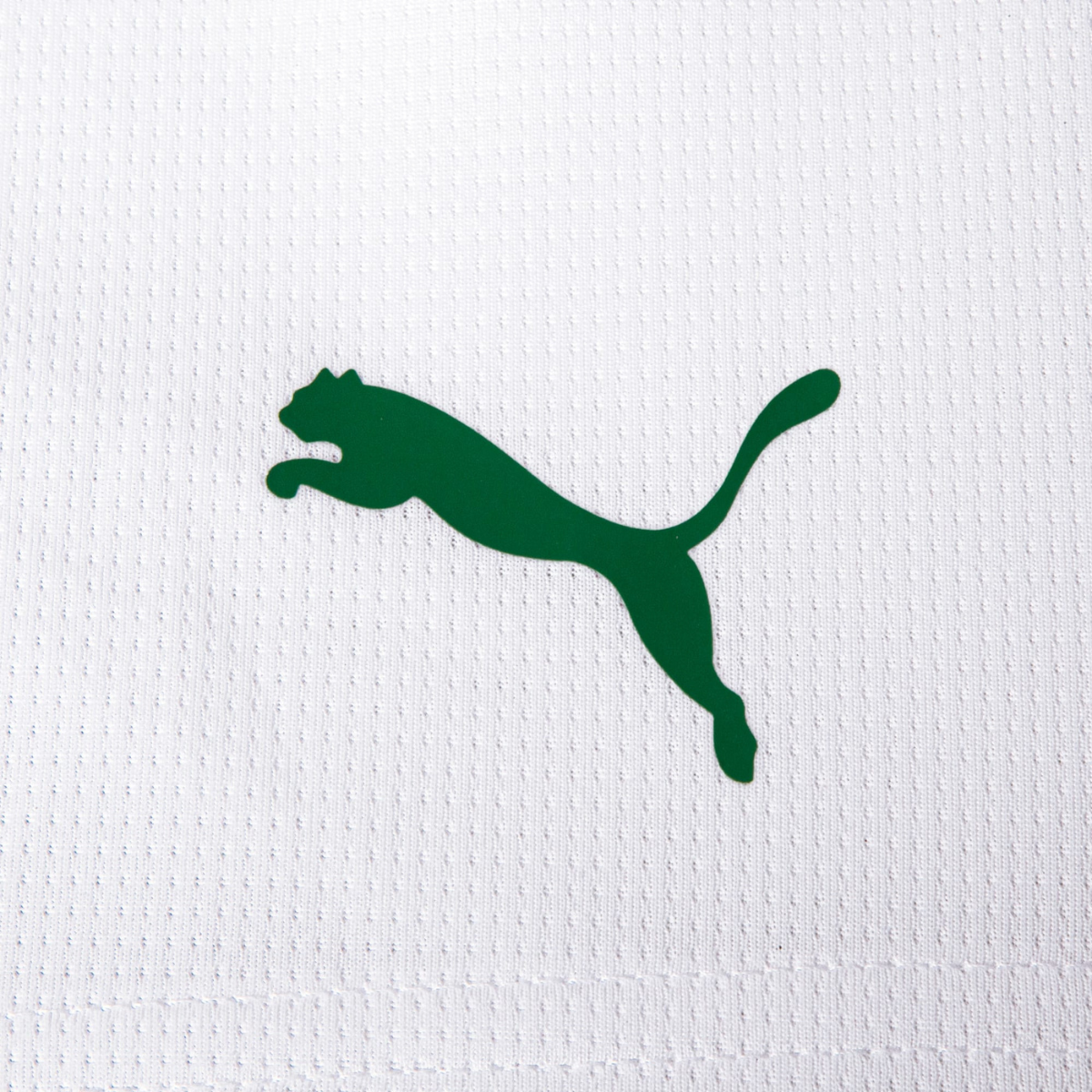 Children's set Palmeiras Home 2026-27